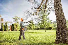 Best Tree Trimming and Pruning  in West Falmouth, MA